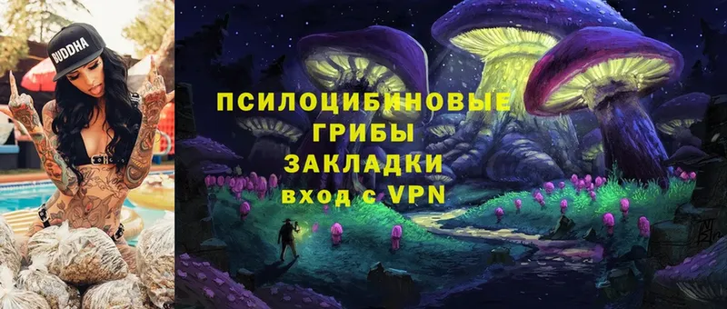 Галлюциногенные грибы Cubensis  Краснокамск 